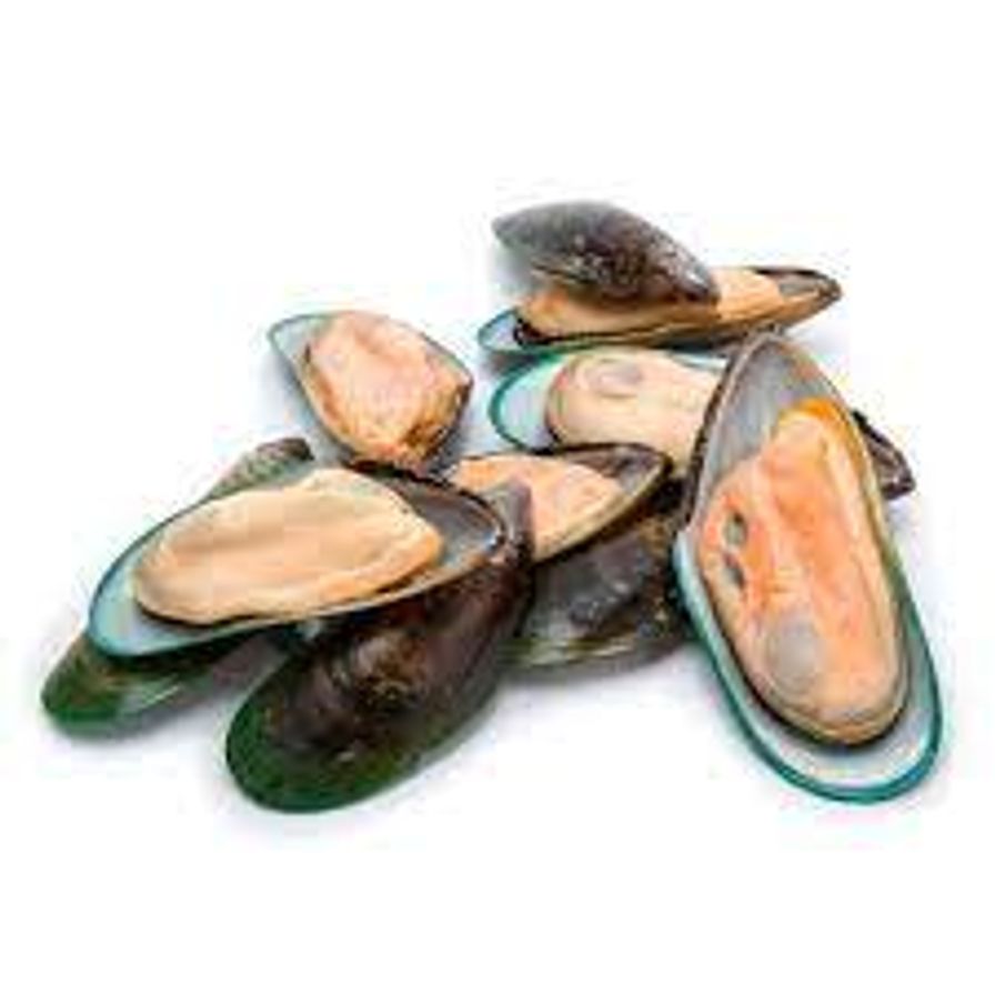 Mussels, New Zealand Frozen